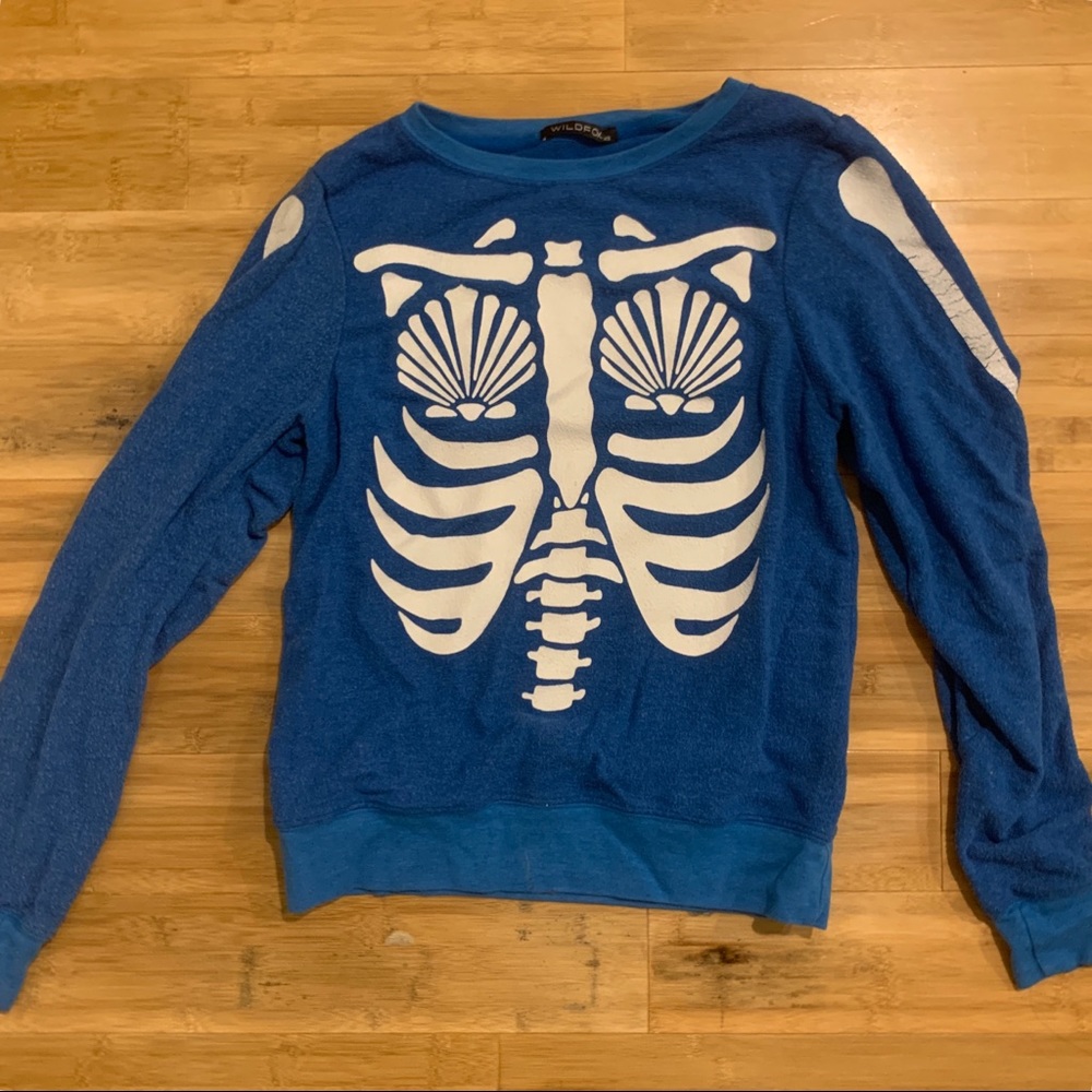Wildfox sweater